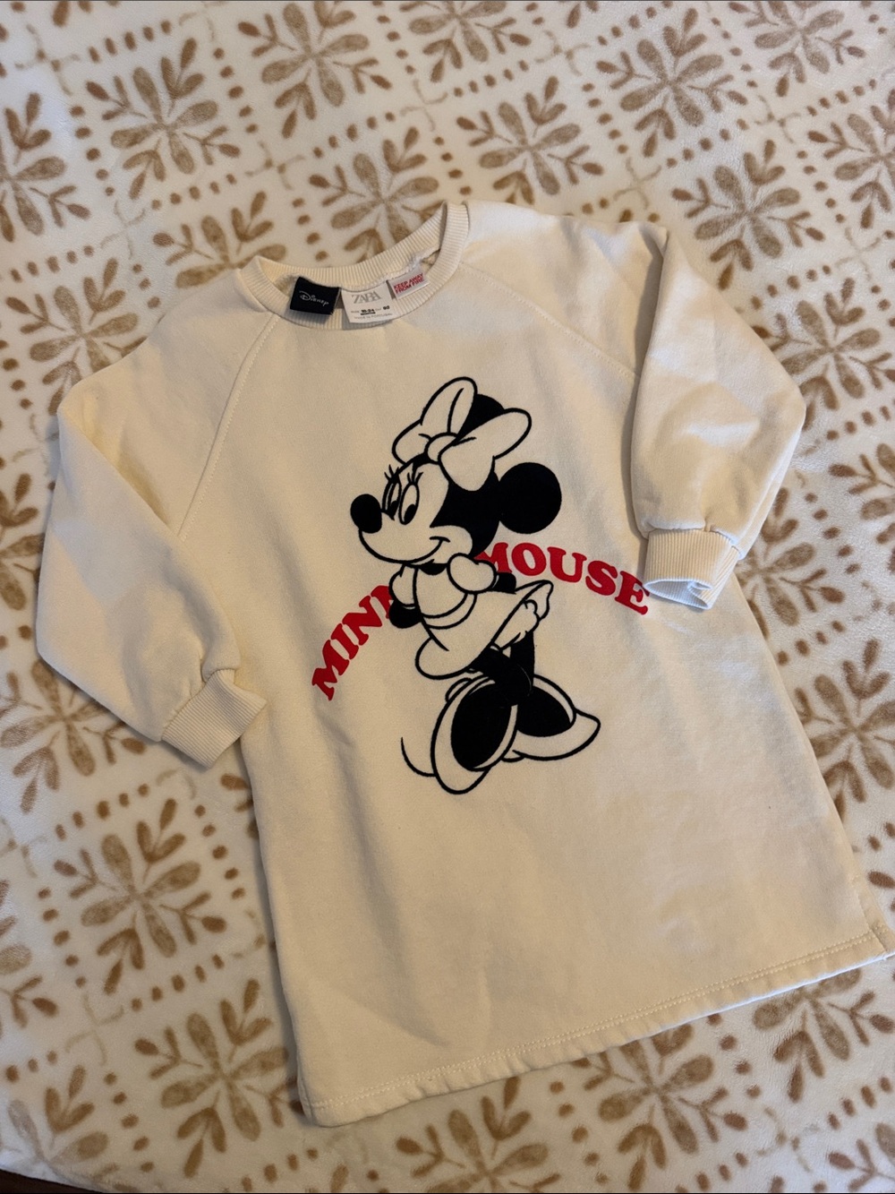 Zara Disney Oversized Long Sleeve Pullover